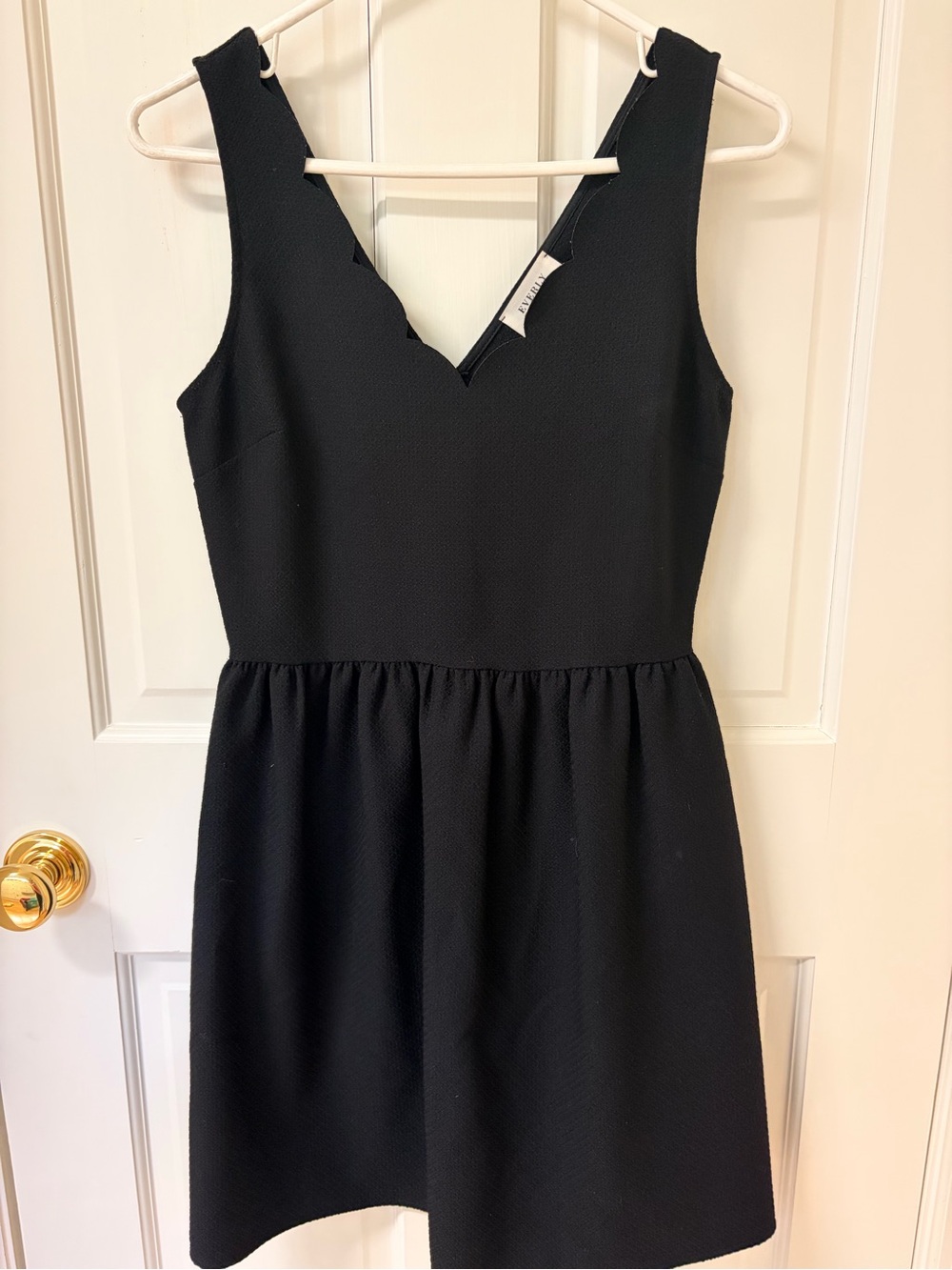 Everly Black Scalloped V-Neck Mini Dress